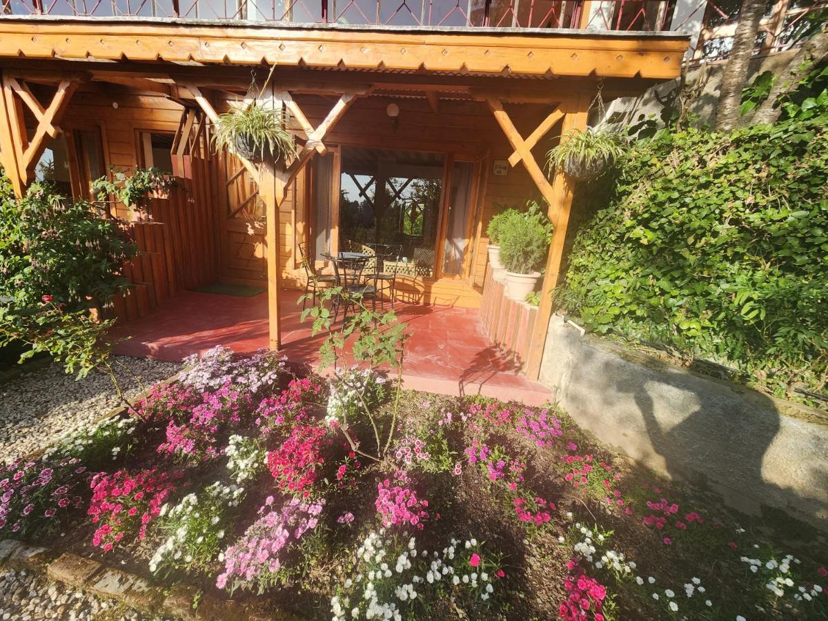 The Chalets Naldehra Shimla Exterior photo